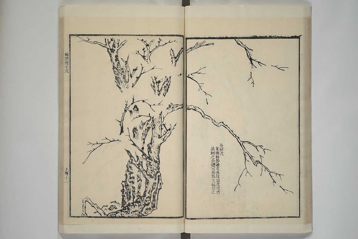 Part 2 from The Mustard Seed Garden Painting Manual (3rd Chinese edition)  芥子園畫傳, Wang Gai 王槩 (Chinese, 1645–1710), Set of four woodblock printed books; ink and color on paper, China