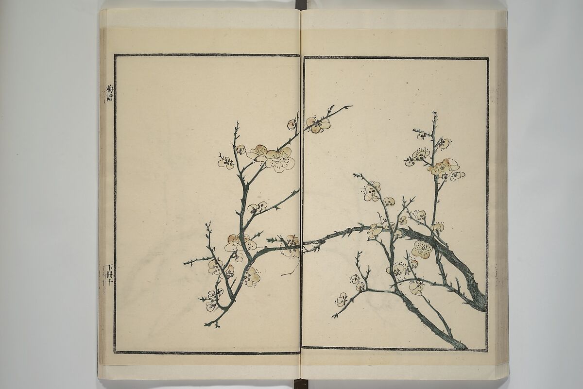 Part 2 from The Mustard Seed Garden Painting Manual (3rd Chinese edition)  芥子園畫傳, Wang Gai 王槩 (Chinese, 1645–1710), Set of four woodblock printed books; ink and color on paper, China