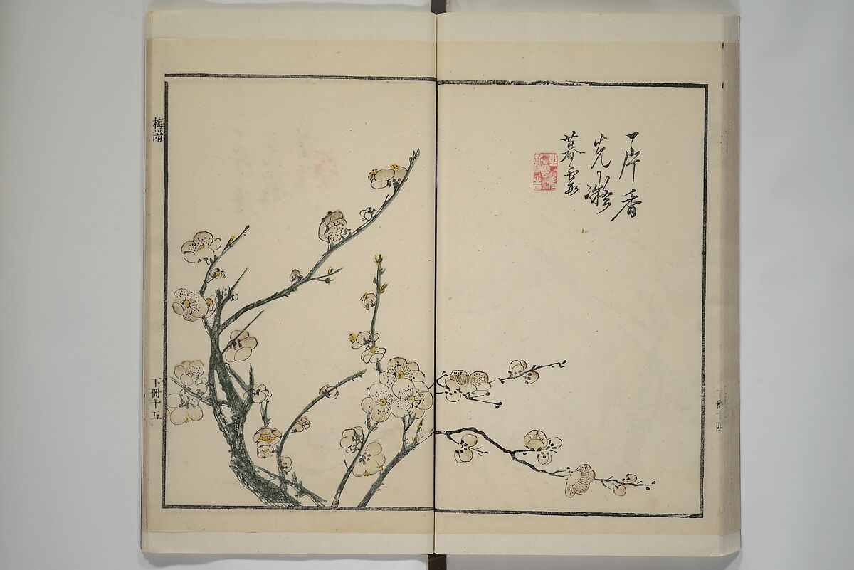 Part 2 from The Mustard Seed Garden Painting Manual (3rd Chinese edition)  芥子園畫傳, Wang Gai 王槩 (Chinese, 1645–1710), Set of four woodblock printed books; ink and color on paper, China
