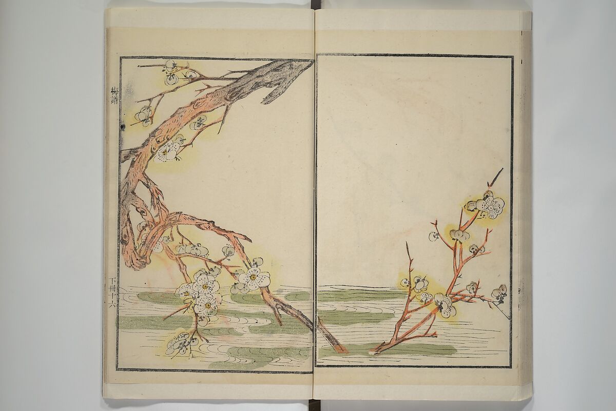 Part 2 from The Mustard Seed Garden Painting Manual (3rd Chinese edition)  芥子園畫傳, Wang Gai 王槩 (Chinese, 1645–1710), Set of four woodblock printed books; ink and color on paper, China