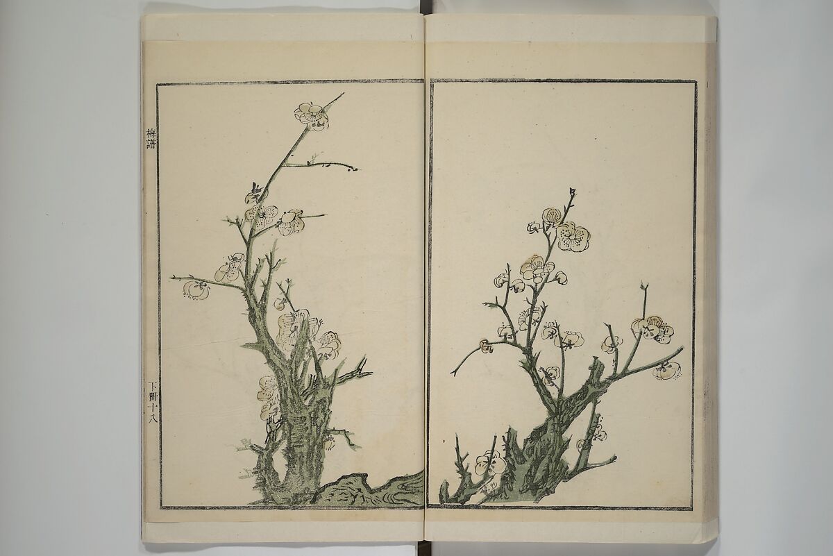 Part 2 from The Mustard Seed Garden Painting Manual (3rd Chinese edition)  芥子園畫傳, Wang Gai 王槩 (Chinese, 1645–1710), Set of four woodblock printed books; ink and color on paper, China