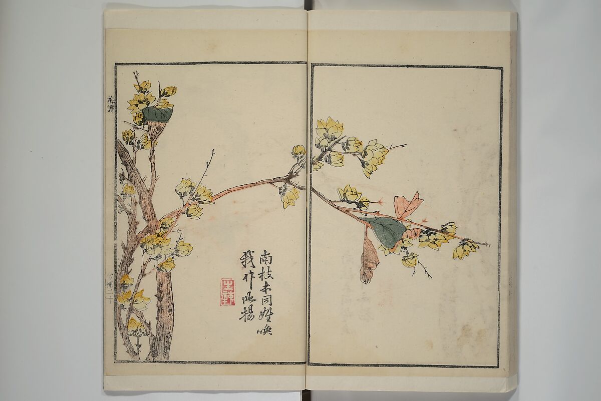 Part 2 from The Mustard Seed Garden Painting Manual (3rd Chinese edition)  芥子園畫傳, Wang Gai 王槩 (Chinese, 1645–1710), Set of four woodblock printed books; ink and color on paper, China