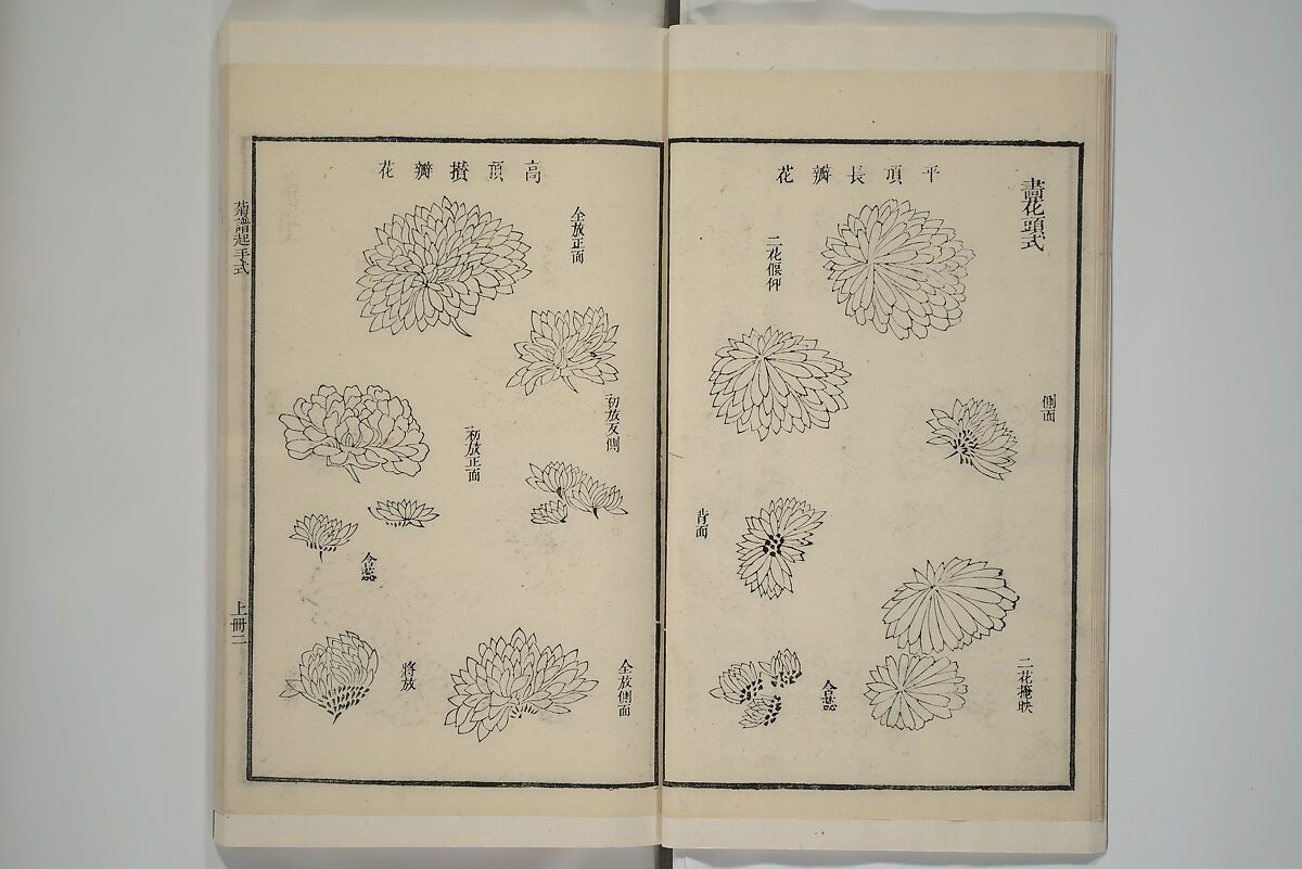 Part 2 from The Mustard Seed Garden Painting Manual (3rd Chinese edition)  芥子園畫傳, Wang Gai 王槩 (Chinese, 1645–1710), Set of four woodblock printed books; ink and color on paper, China