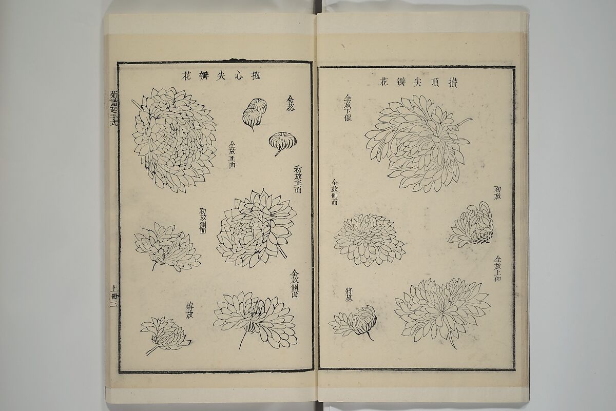 Part 2 from The Mustard Seed Garden Painting Manual (3rd Chinese edition)  芥子園畫傳, Wang Gai 王槩 (Chinese, 1645–1710), Set of four woodblock printed books; ink and color on paper, China