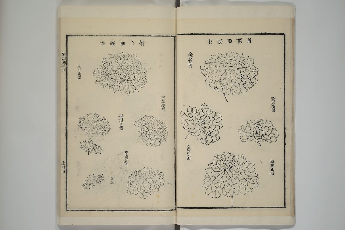 Part 2 from The Mustard Seed Garden Painting Manual (3rd Chinese edition)  芥子園畫傳, Wang Gai 王槩 (Chinese, 1645–1710), Set of four woodblock printed books; ink and color on paper, China