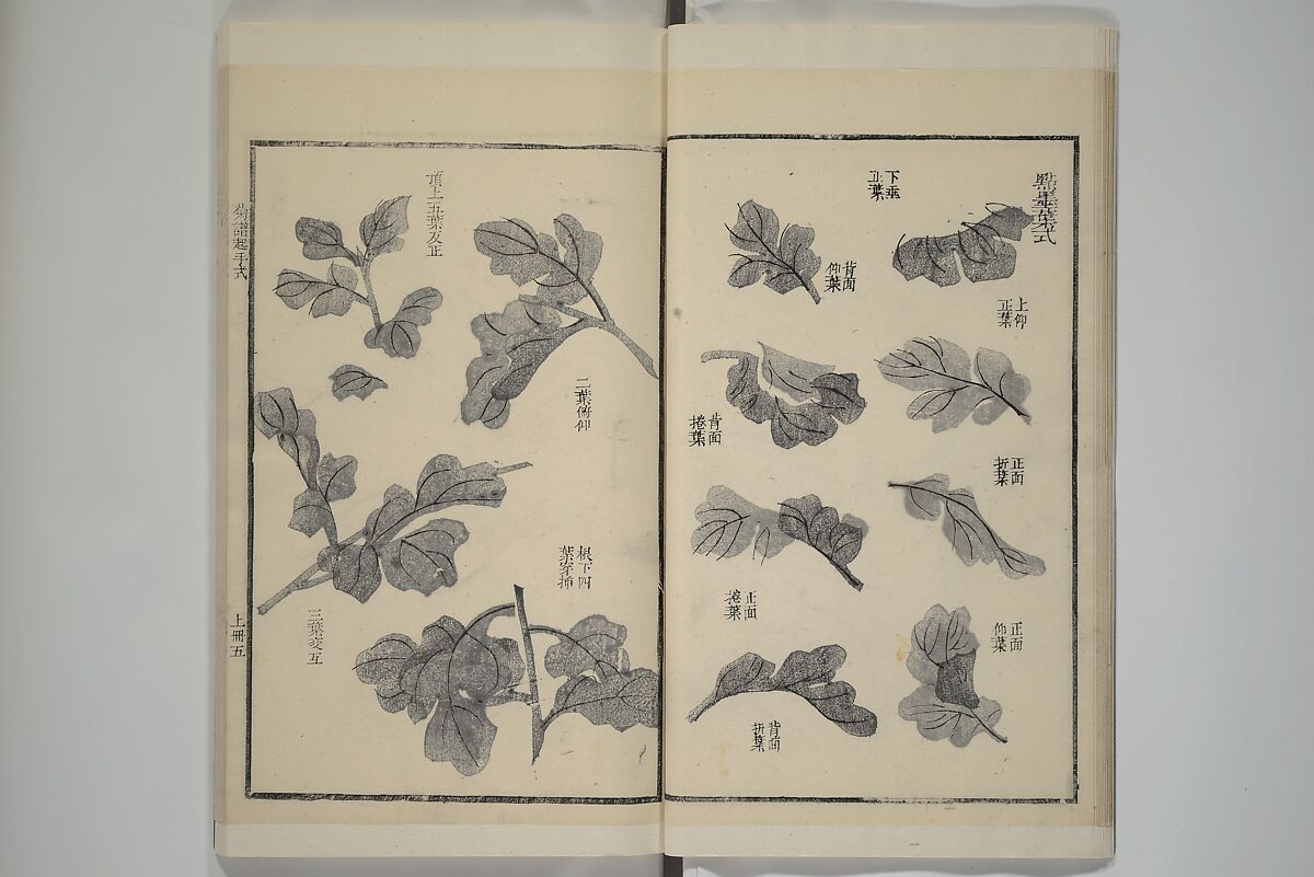 Part 2 from The Mustard Seed Garden Painting Manual (3rd Chinese edition)  芥子園畫傳, Wang Gai 王槩 (Chinese, 1645–1710), Set of four woodblock printed books; ink and color on paper, China