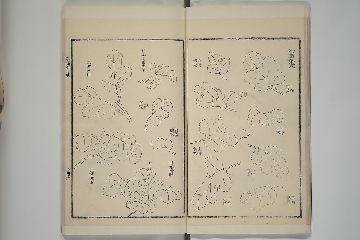 Part 2 from The Mustard Seed Garden Painting Manual (3rd Chinese edition)  芥子園畫傳, Wang Gai 王槩 (Chinese, 1645–1710), Set of four woodblock printed books; ink and color on paper, China