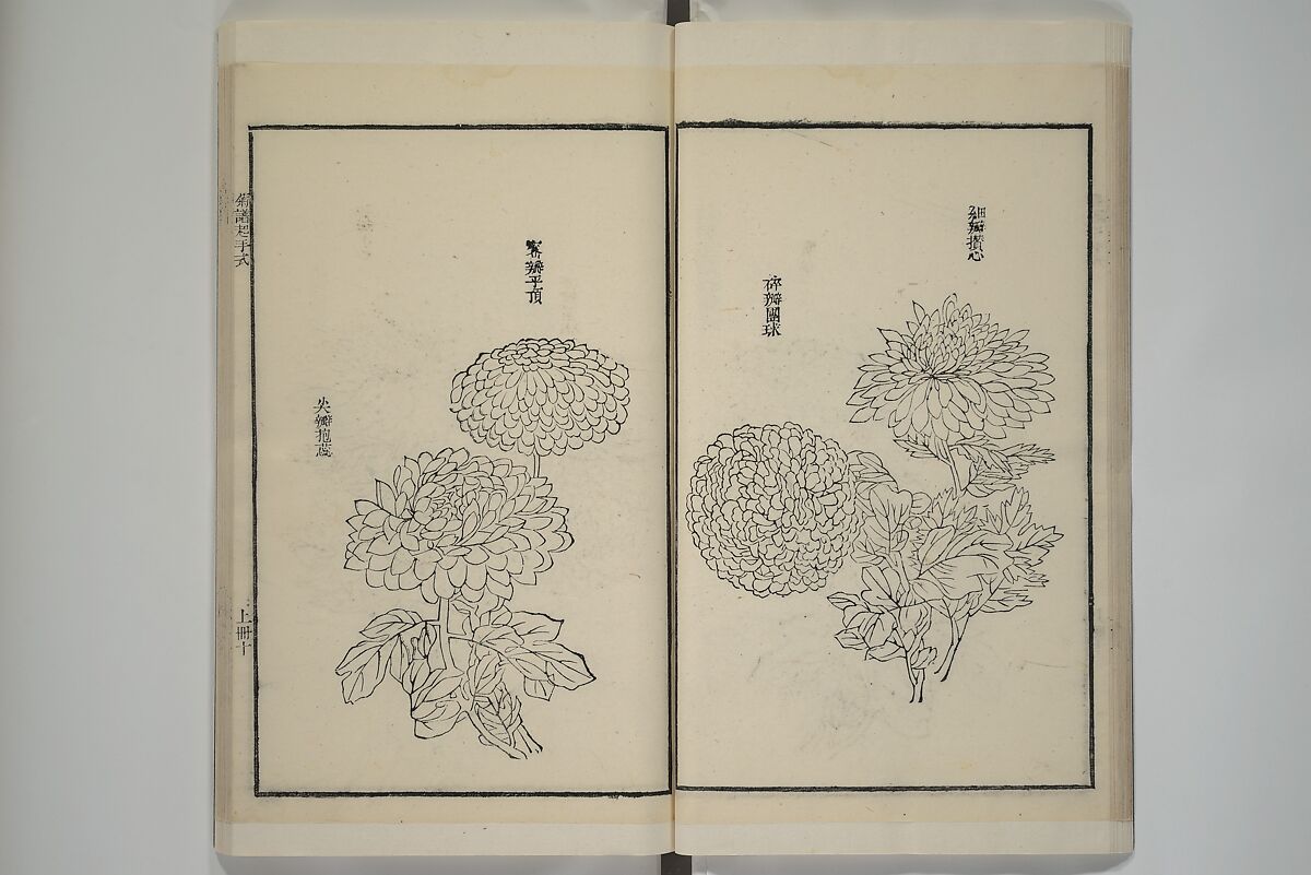 Part 2 from The Mustard Seed Garden Painting Manual (3rd Chinese edition)  芥子園畫傳, Wang Gai 王槩 (Chinese, 1645–1710), Set of four woodblock printed books; ink and color on paper, China