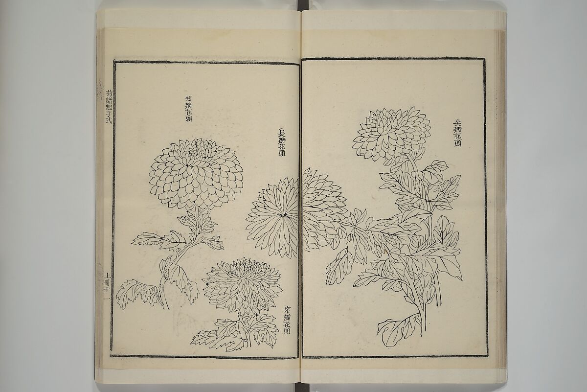 Part 2 from The Mustard Seed Garden Painting Manual (3rd Chinese edition)  芥子園畫傳, Wang Gai 王槩 (Chinese, 1645–1710), Set of four woodblock printed books; ink and color on paper, China
