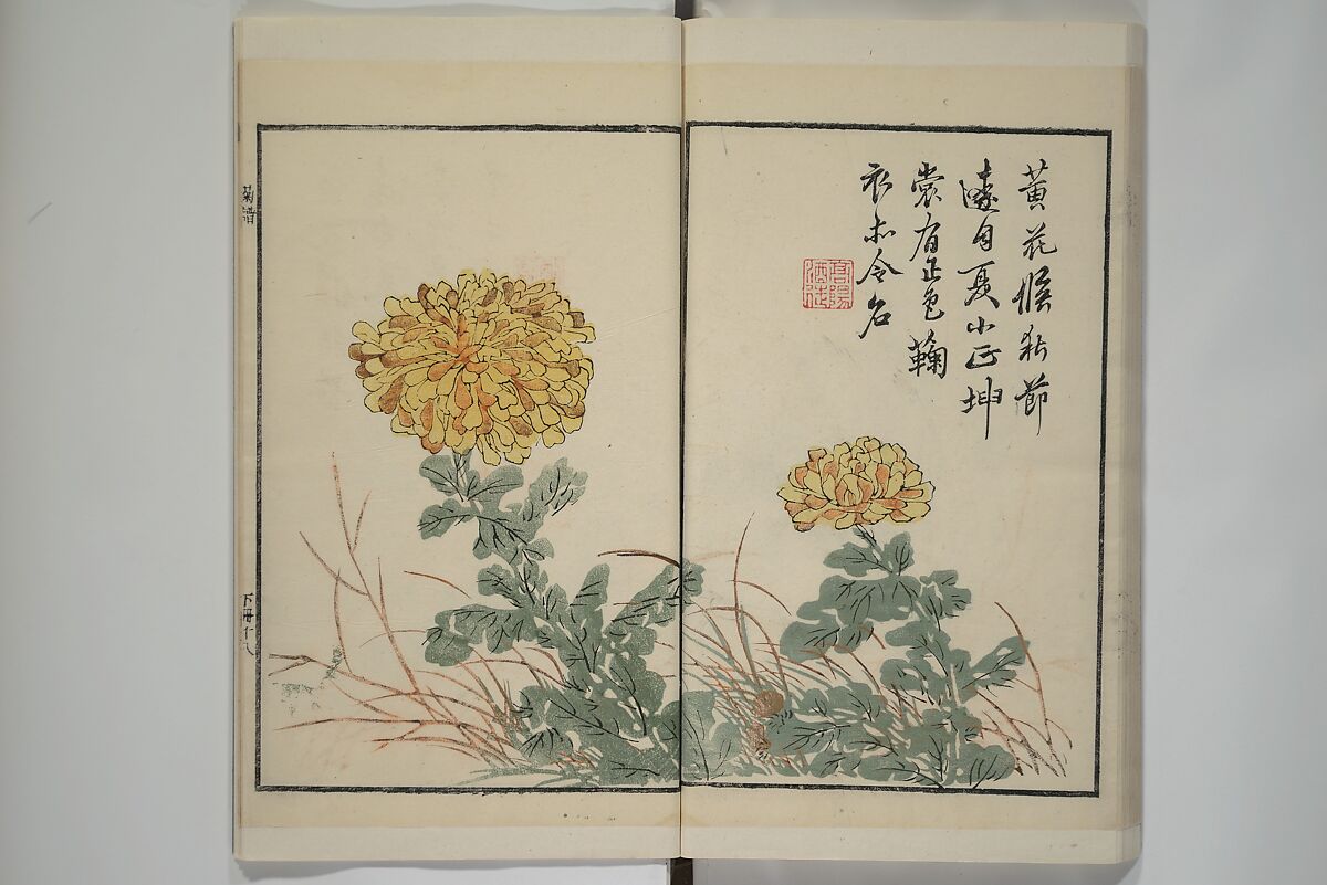 Part 2 from The Mustard Seed Garden Painting Manual (3rd Chinese edition)  芥子園畫傳, Wang Gai 王槩 (Chinese, 1645–1710), Set of four woodblock printed books; ink and color on paper, China