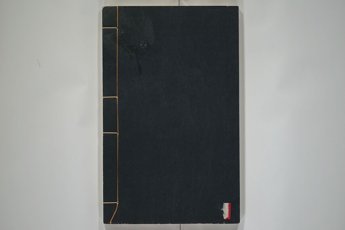 Part 2 from The Mustard Seed Garden Painting Manual (3rd Chinese edition)  芥子園畫傳, Wang Gai 王槩 (Chinese, 1645–1710), Set of four woodblock printed books; ink and color on paper, China