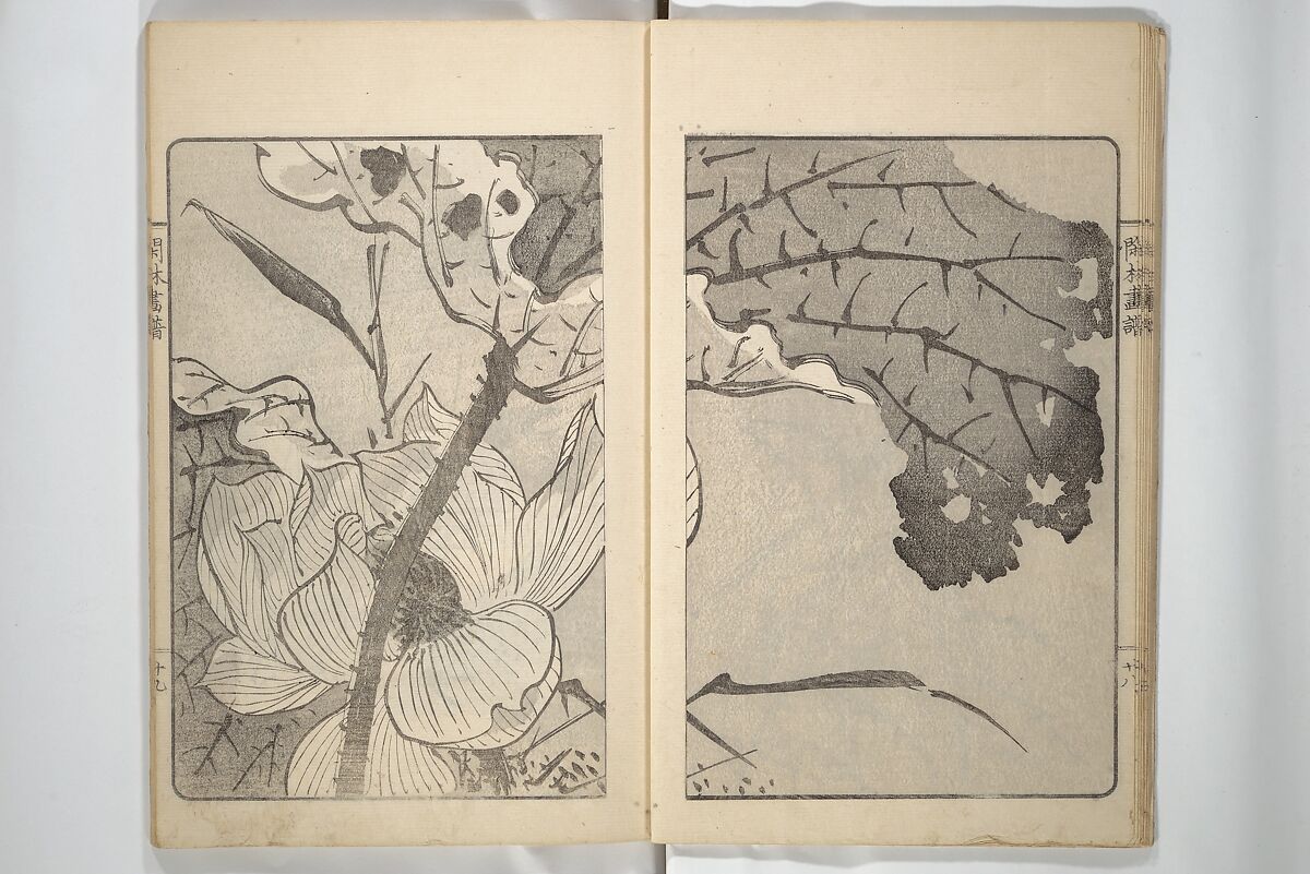 Kanrin Picture Album (Kanrin gafu) 閑林画譜, Okada Kanrin 岡田閑林 (Japanese, 1775–1849), Set of two woodblock printed books; ink and color on paper, Japan
