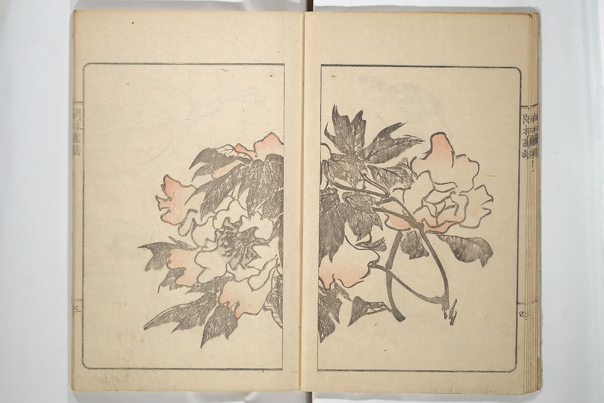 Kanrin Picture Album (Kanrin gafu) 閑林画譜, Okada Kanrin 岡田閑林 (Japanese, 1775–1849), Set of two woodblock printed books; ink and color on paper, Japan
