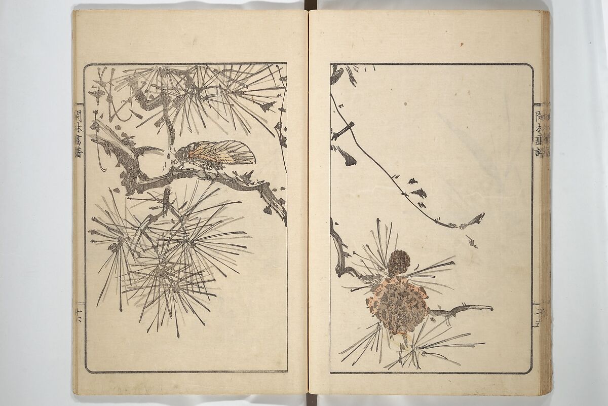 Kanrin Picture Album (Kanrin gafu) 閑林画譜, Okada Kanrin 岡田閑林 (Japanese, 1775–1849), Set of two woodblock printed books; ink and color on paper, Japan