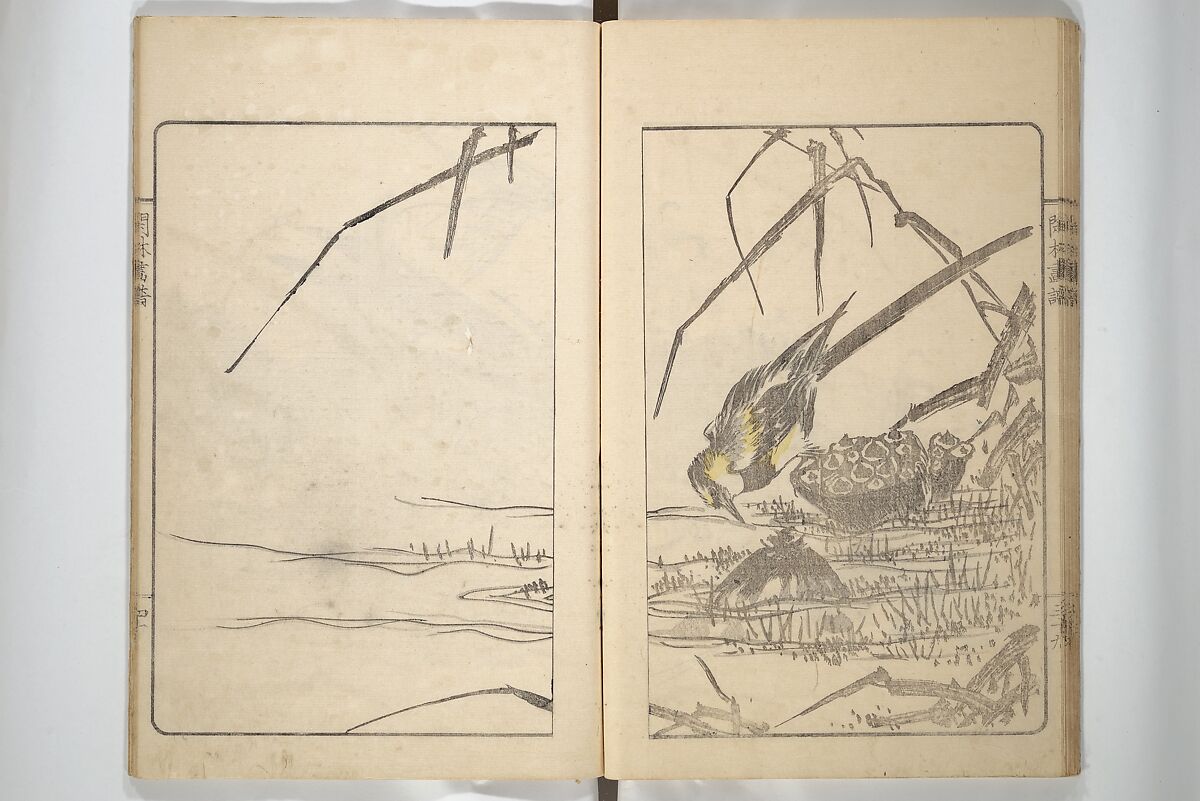 Kanrin Picture Album (Kanrin gafu) 閑林画譜, Okada Kanrin 岡田閑林 (Japanese, 1775–1849), Set of two woodblock printed books; ink and color on paper, Japan