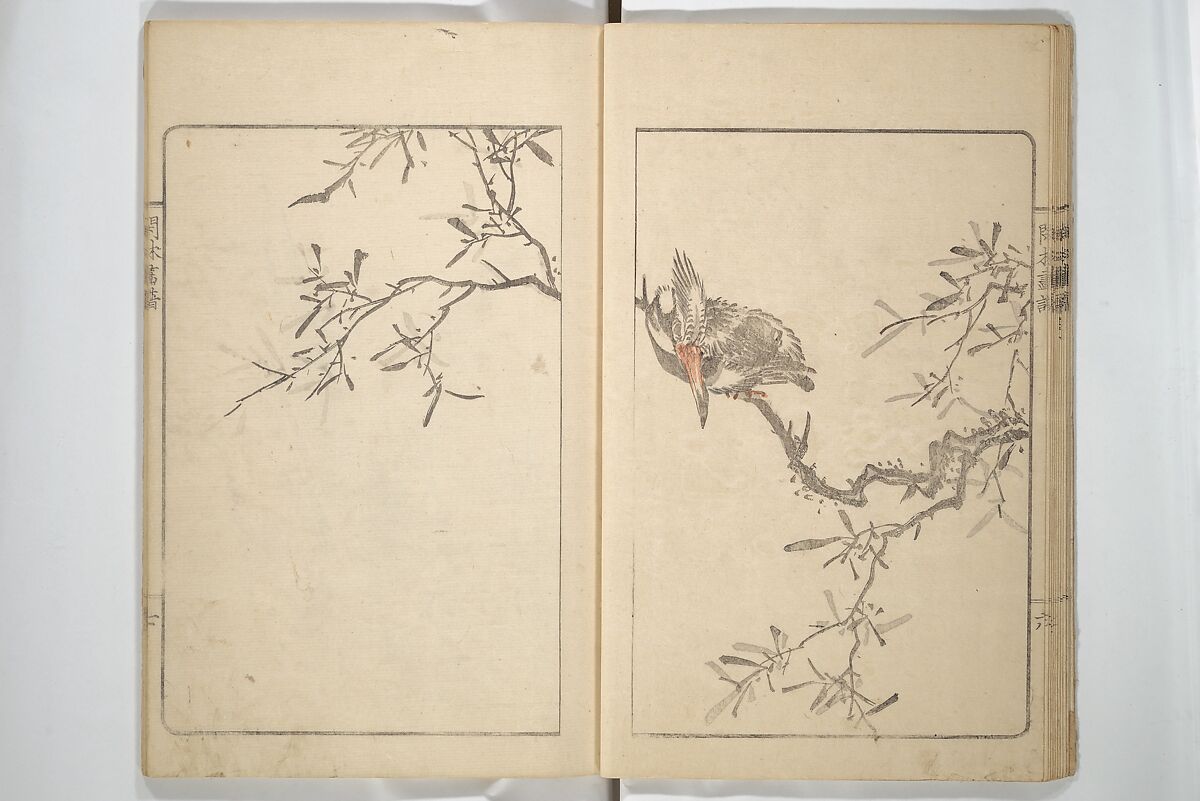 Kanrin Picture Album (Kanrin gafu) 閑林画譜, Okada Kanrin 岡田閑林 (Japanese, 1775–1849), Set of two woodblock printed books; ink and color on paper, Japan