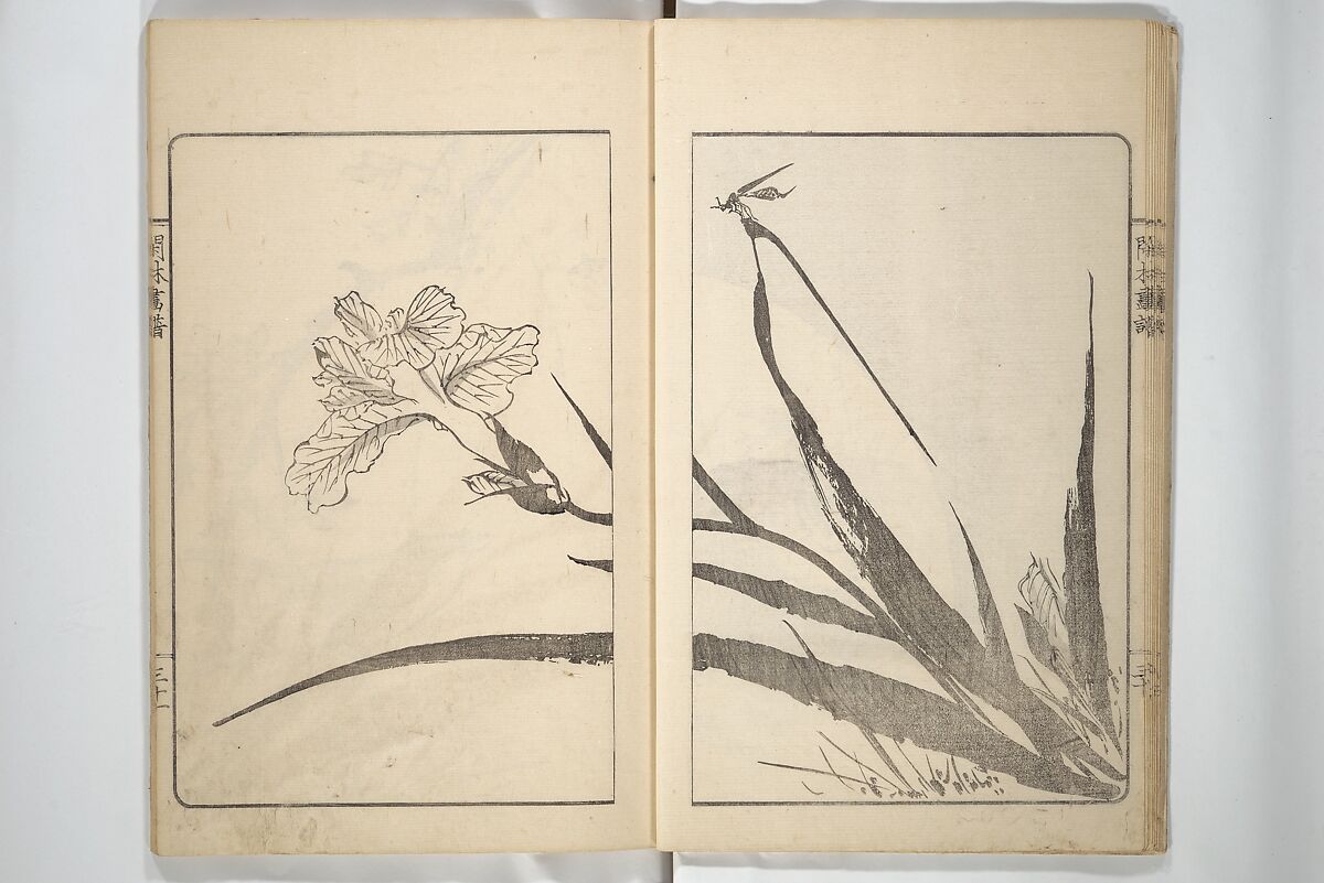 Kanrin Picture Album (Kanrin gafu) 閑林画譜, Okada Kanrin 岡田閑林 (Japanese, 1775–1849), Set of two woodblock printed books; ink and color on paper, Japan