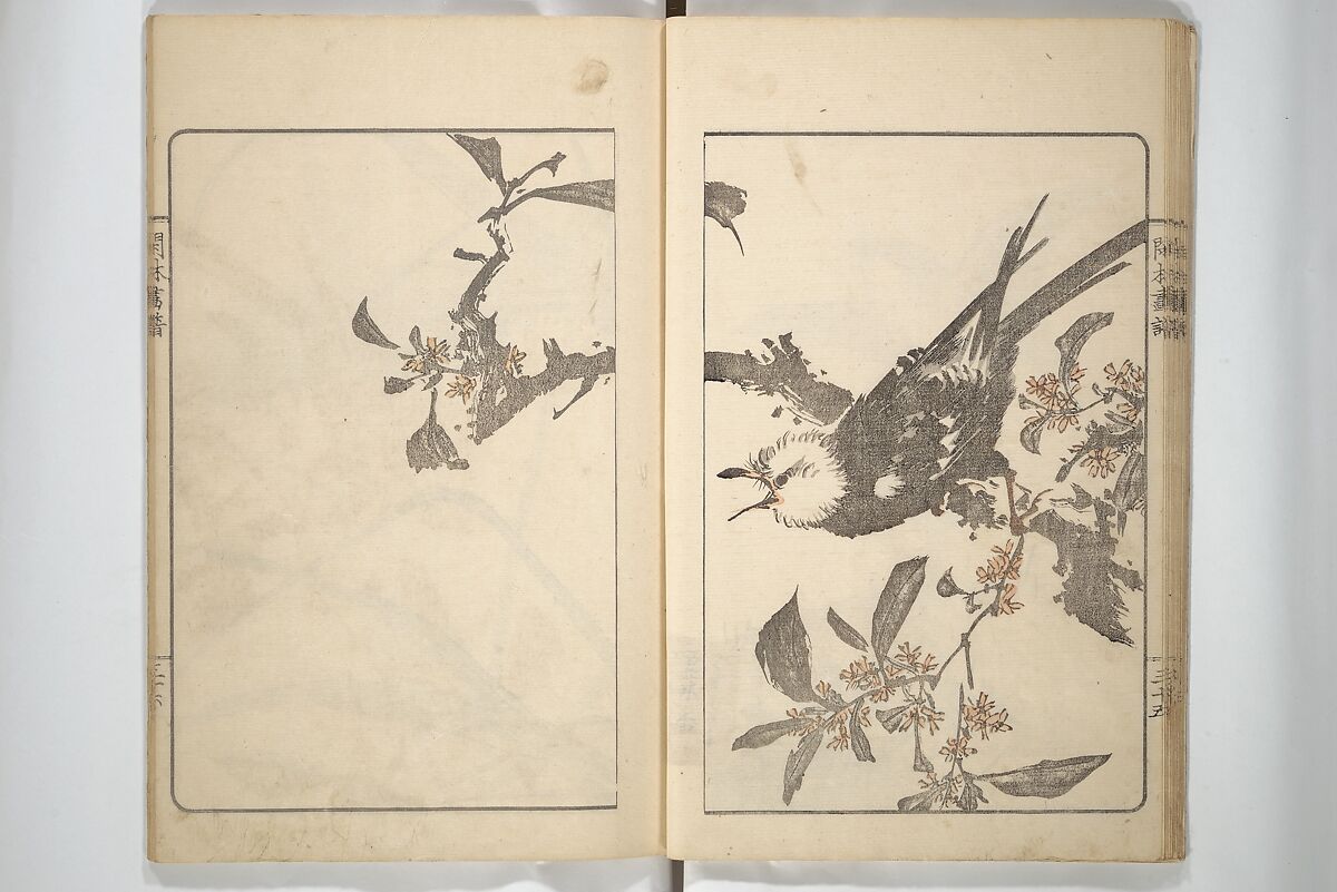 Kanrin Picture Album (Kanrin gafu) 閑林画譜, Okada Kanrin 岡田閑林 (Japanese, 1775–1849), Set of two woodblock printed books; ink and color on paper, Japan
