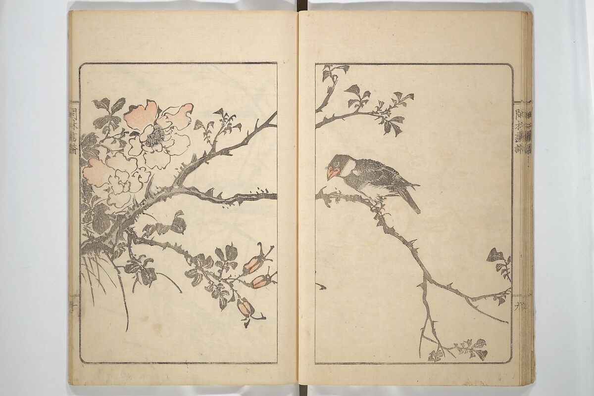 Kanrin Picture Album (Kanrin gafu) 閑林画譜, Okada Kanrin 岡田閑林 (Japanese, 1775–1849), Set of two woodblock printed books; ink and color on paper, Japan