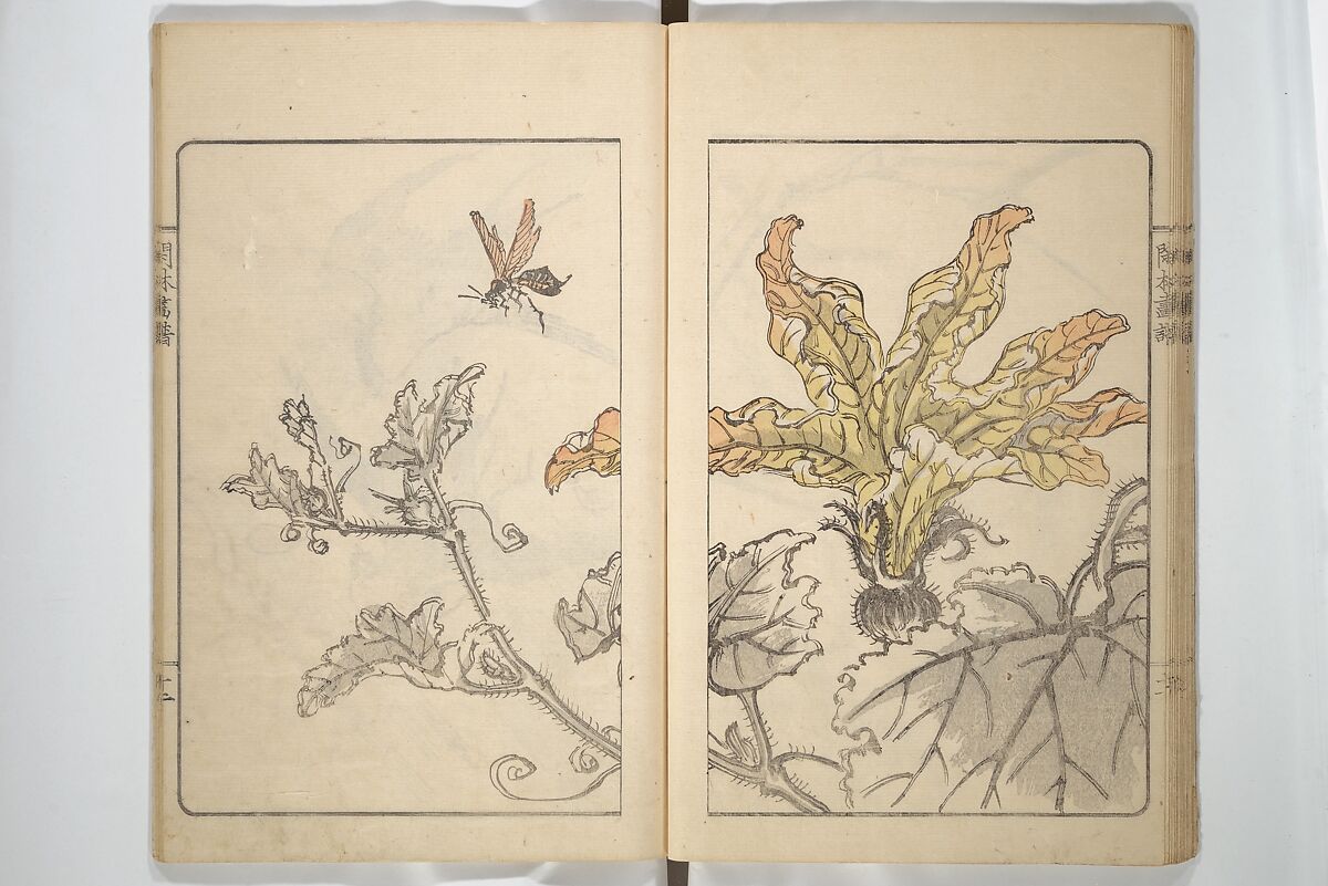 Kanrin Picture Album (Kanrin gafu) 閑林画譜, Okada Kanrin 岡田閑林 (Japanese, 1775–1849), Set of two woodblock printed books; ink and color on paper, Japan