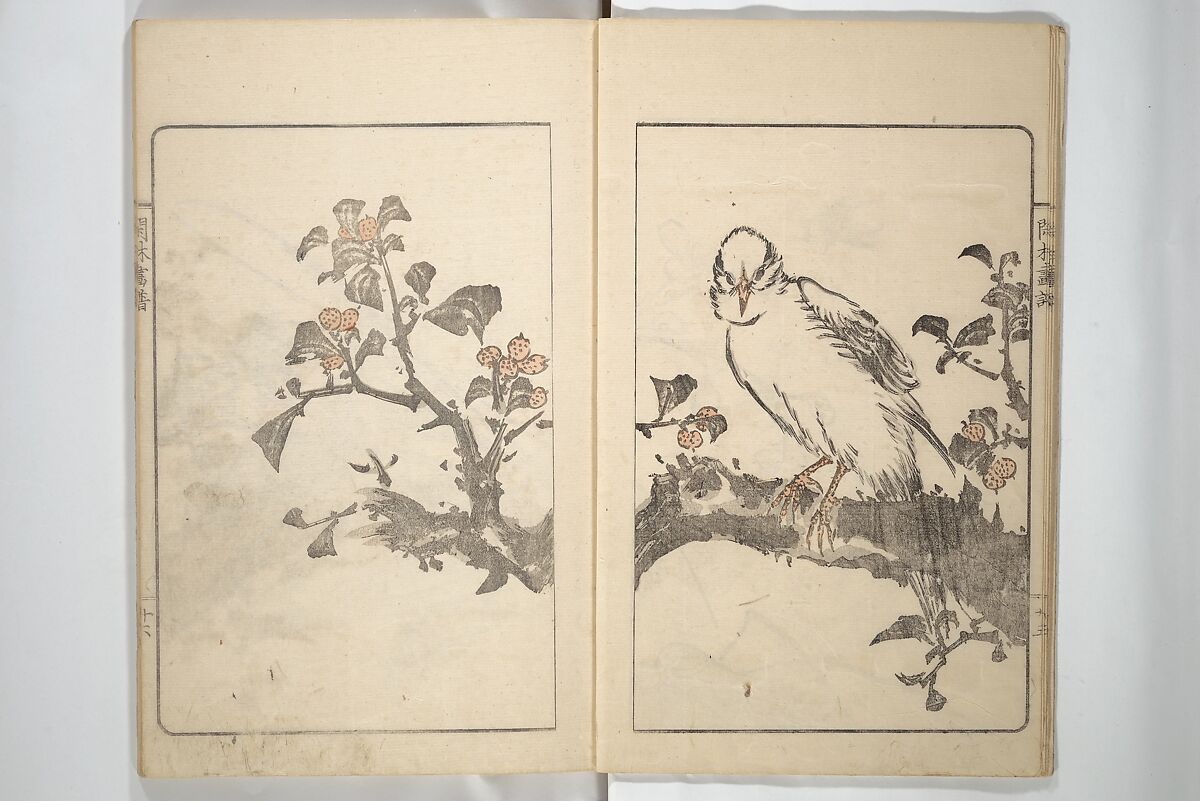 Kanrin Picture Album (Kanrin gafu) 閑林画譜, Okada Kanrin 岡田閑林 (Japanese, 1775–1849), Set of two woodblock printed books; ink and color on paper, Japan