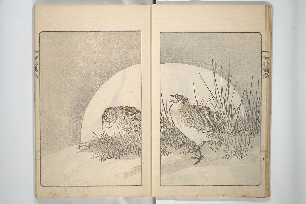 Kanrin Picture Album (Kanrin gafu) 閑林画譜, Okada Kanrin 岡田閑林 (Japanese, 1775–1849), Set of two woodblock printed books; ink and color on paper, Japan