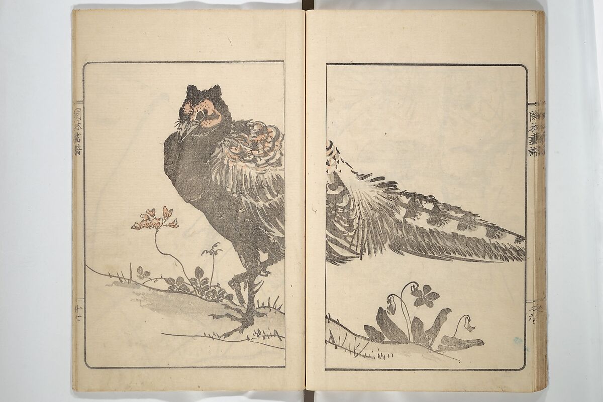 Kanrin Picture Album (Kanrin gafu) 閑林画譜, Okada Kanrin 岡田閑林 (Japanese, 1775–1849), Set of two woodblock printed books; ink and color on paper, Japan