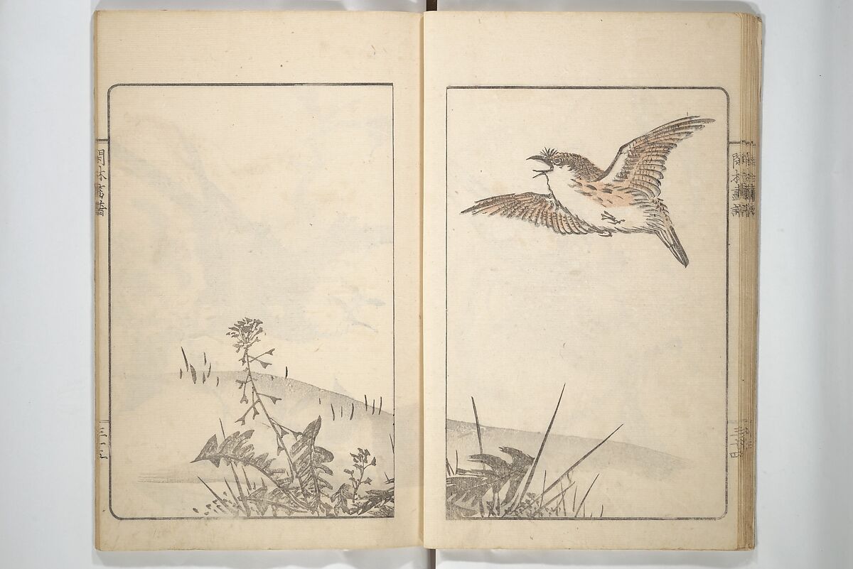 Kanrin Picture Album (Kanrin gafu) 閑林画譜, Okada Kanrin 岡田閑林 (Japanese, 1775–1849), Set of two woodblock printed books; ink and color on paper, Japan