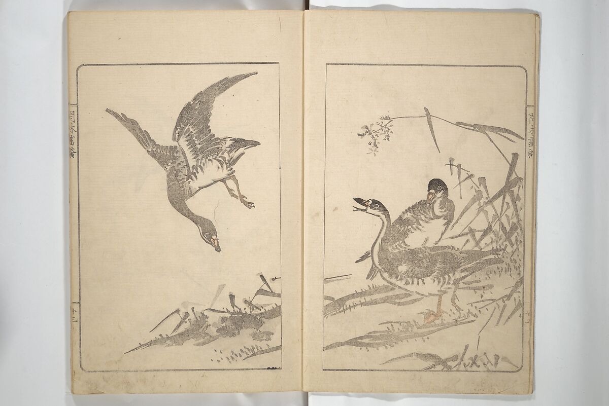 Kanrin Picture Album (Kanrin gafu) 閑林画譜, Okada Kanrin 岡田閑林 (Japanese, 1775–1849), Set of two woodblock printed books; ink and color on paper, Japan