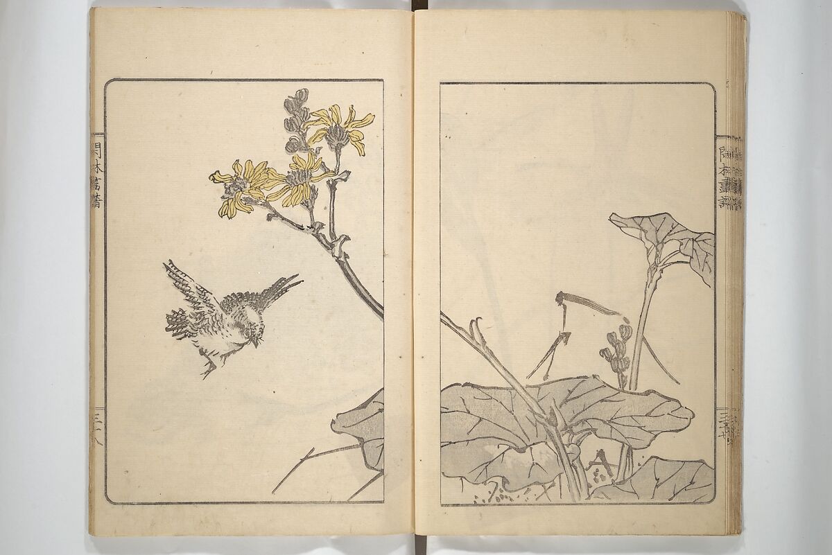 Kanrin Picture Album (Kanrin gafu) 閑林画譜, Okada Kanrin 岡田閑林 (Japanese, 1775–1849), Set of two woodblock printed books; ink and color on paper, Japan