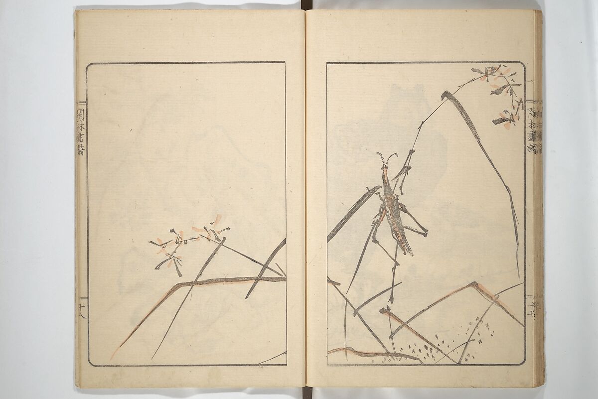 Kanrin Picture Album (Kanrin gafu) 閑林画譜, Okada Kanrin 岡田閑林 (Japanese, 1775–1849), Set of two woodblock printed books; ink and color on paper, Japan