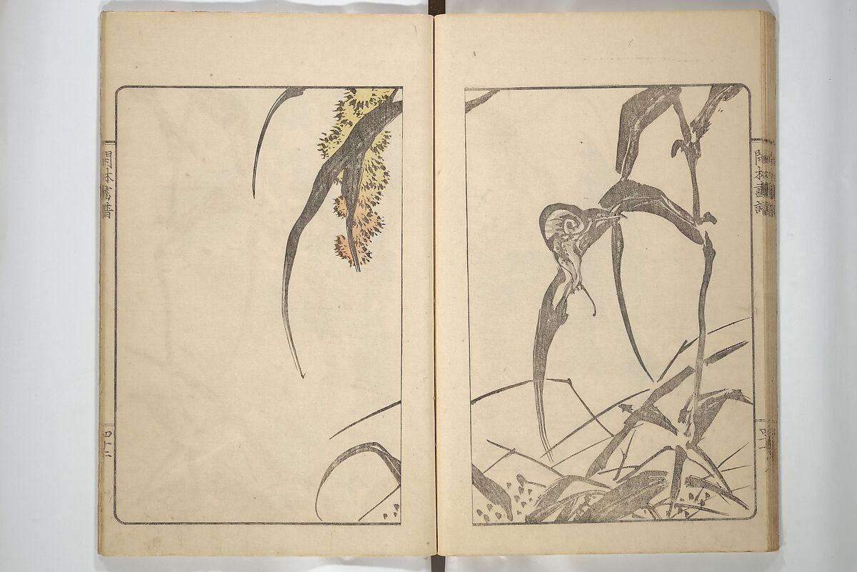 Kanrin Picture Album (Kanrin gafu) 閑林画譜, Okada Kanrin 岡田閑林 (Japanese, 1775–1849), Set of two woodblock printed books; ink and color on paper, Japan