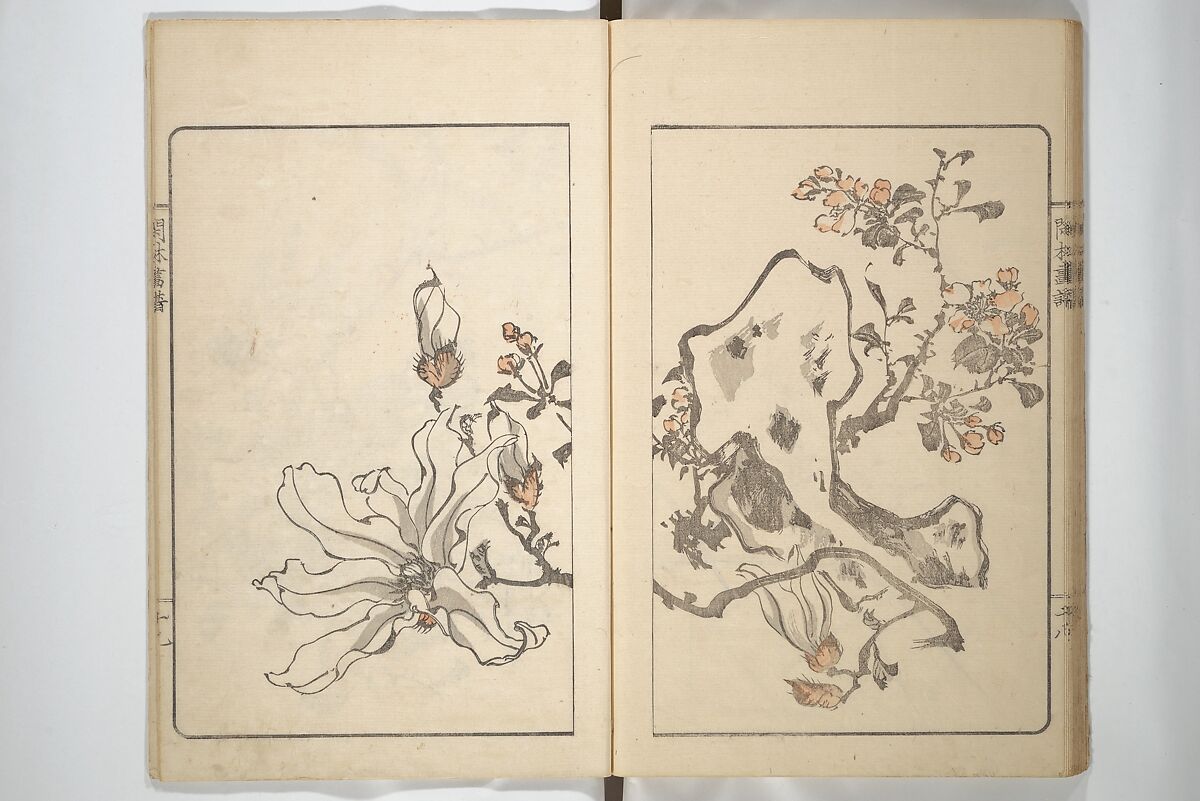 Kanrin Picture Album (Kanrin gafu) 閑林画譜, Okada Kanrin 岡田閑林 (Japanese, 1775–1849), Set of two woodblock printed books; ink and color on paper, Japan