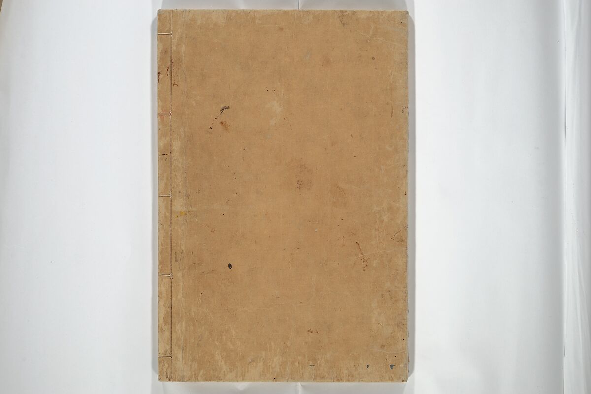 Kanrin Picture Album (Kanrin gafu) 閑林画譜, Okada Kanrin 岡田閑林 (Japanese, 1775–1849), Set of two woodblock printed books; ink and color on paper, Japan