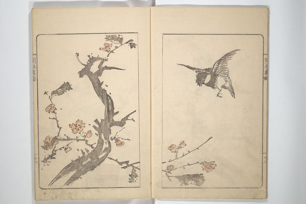 Kanrin Picture Album (Kanrin gafu) 閑林画譜, Okada Kanrin 岡田閑林 (Japanese, 1775–1849), Set of two woodblock printed books; ink and color on paper, Japan
