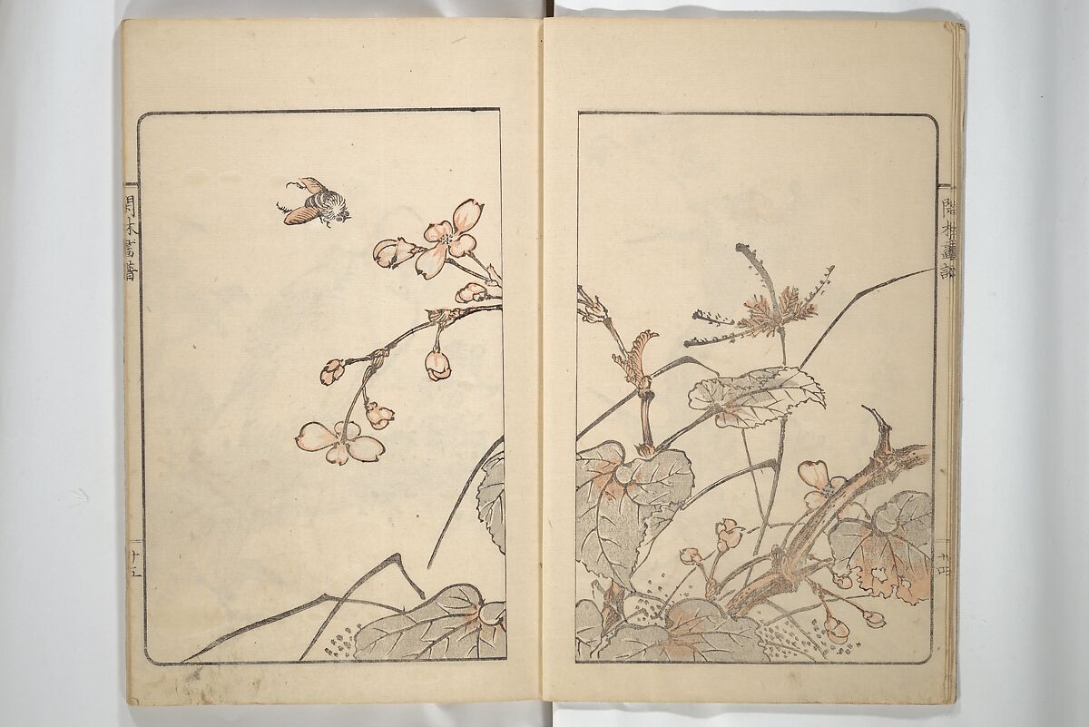 Kanrin Picture Album (Kanrin gafu) 閑林画譜, Okada Kanrin 岡田閑林 (Japanese, 1775–1849), Set of two woodblock printed books; ink and color on paper, Japan