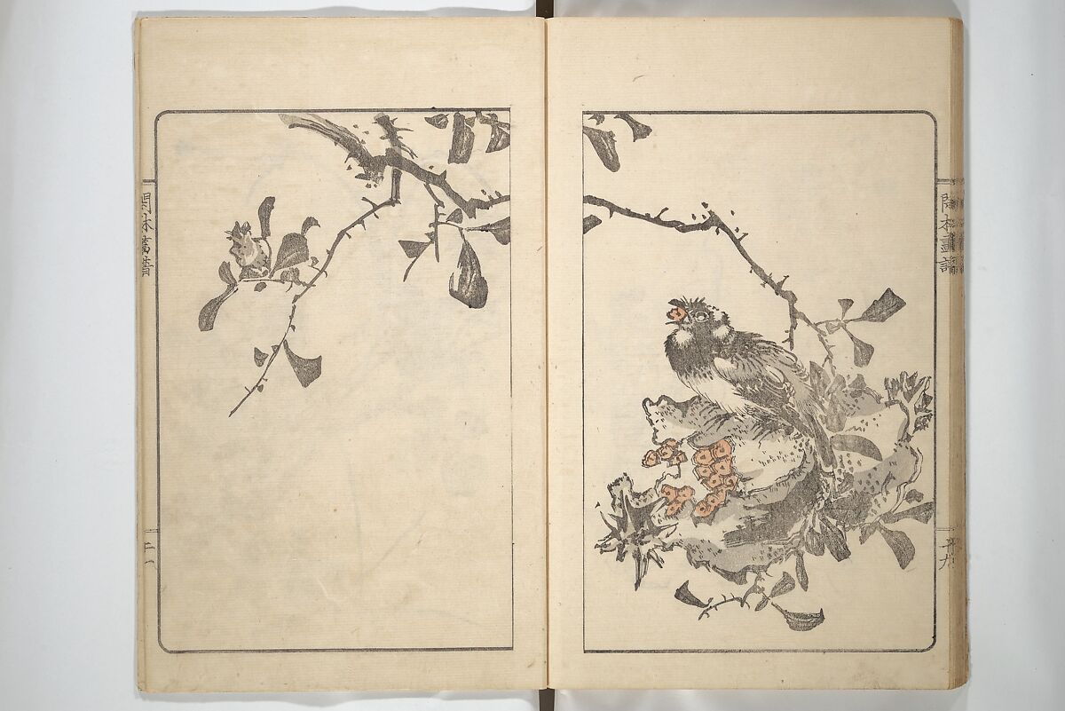 Kanrin Picture Album (Kanrin gafu) 閑林画譜, Okada Kanrin 岡田閑林 (Japanese, 1775–1849), Set of two woodblock printed books; ink and color on paper, Japan