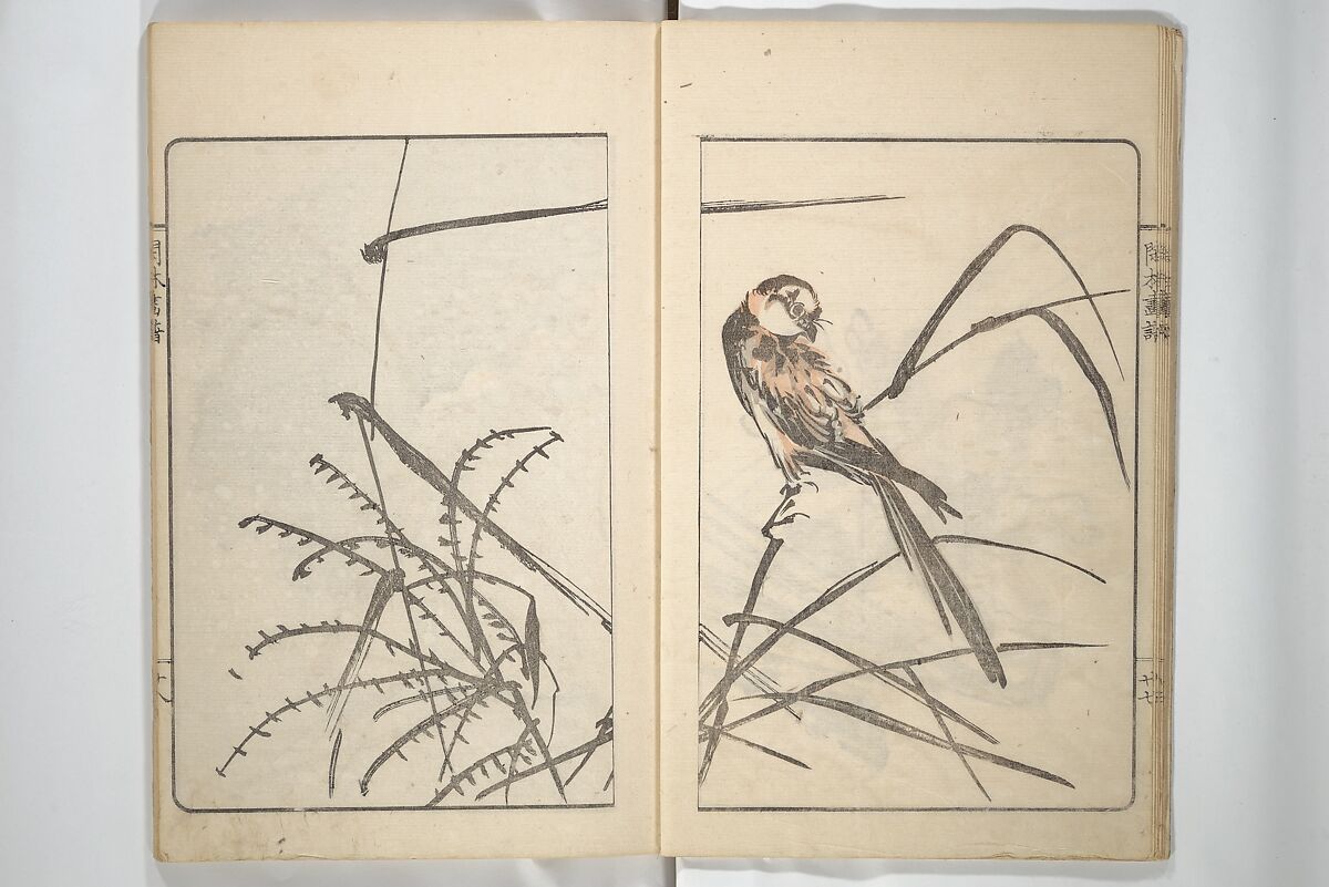 Kanrin Picture Album (Kanrin gafu) 閑林画譜, Okada Kanrin 岡田閑林 (Japanese, 1775–1849), Set of two woodblock printed books; ink and color on paper, Japan