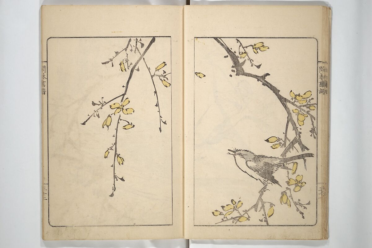 Kanrin Picture Album (Kanrin gafu) 閑林画譜, Okada Kanrin 岡田閑林 (Japanese, 1775–1849), Set of two woodblock printed books; ink and color on paper, Japan