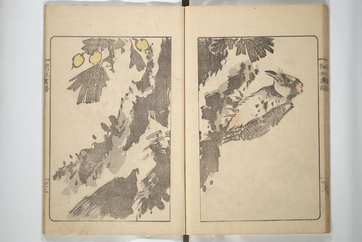 Kanrin Picture Album (Kanrin gafu) 閑林画譜, Okada Kanrin 岡田閑林 (Japanese, 1775–1849), Set of two woodblock printed books; ink and color on paper, Japan