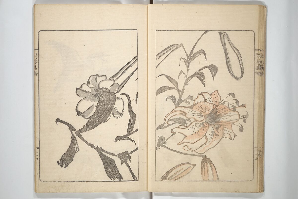 Kanrin Picture Album (Kanrin gafu) 閑林画譜, Okada Kanrin 岡田閑林 (Japanese, 1775–1849), Set of two woodblock printed books; ink and color on paper, Japan