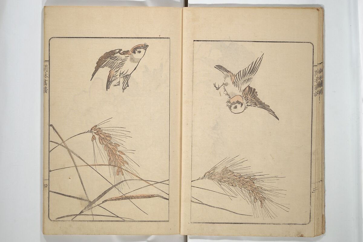 Kanrin Picture Album (Kanrin gafu) 閑林画譜, Okada Kanrin 岡田閑林 (Japanese, 1775–1849), Set of two woodblock printed books; ink and color on paper, Japan
