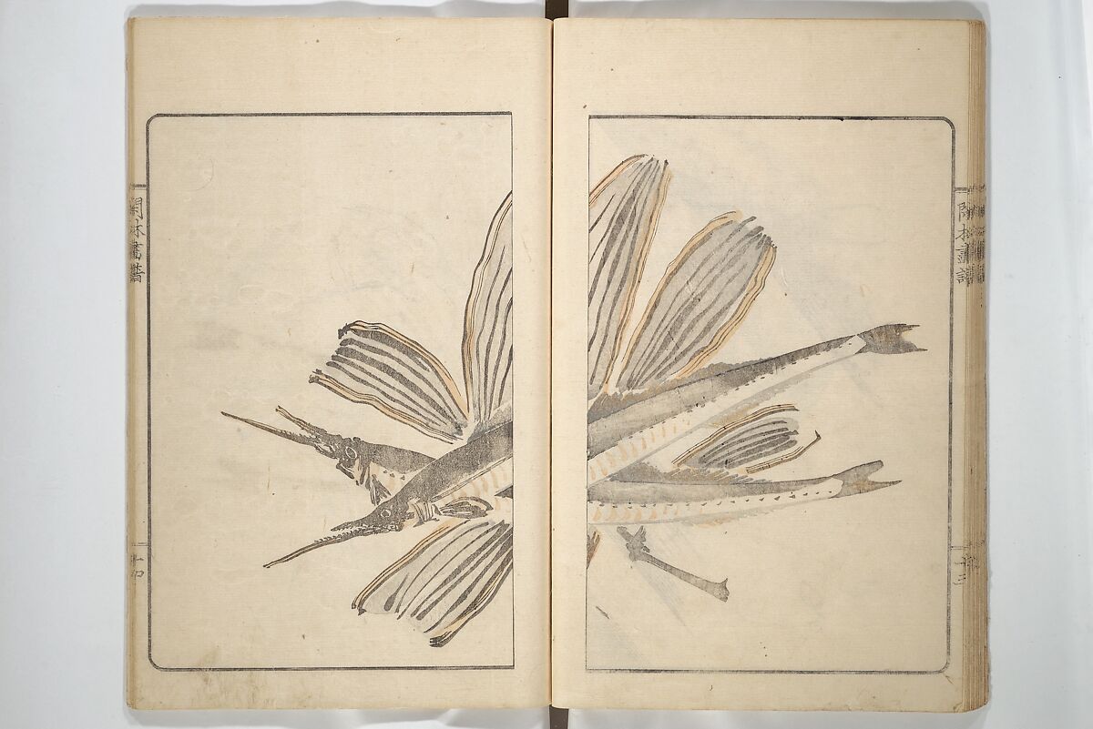 Kanrin Picture Album (Kanrin gafu) 閑林画譜, Okada Kanrin 岡田閑林 (Japanese, 1775–1849), Set of two woodblock printed books; ink and color on paper, Japan