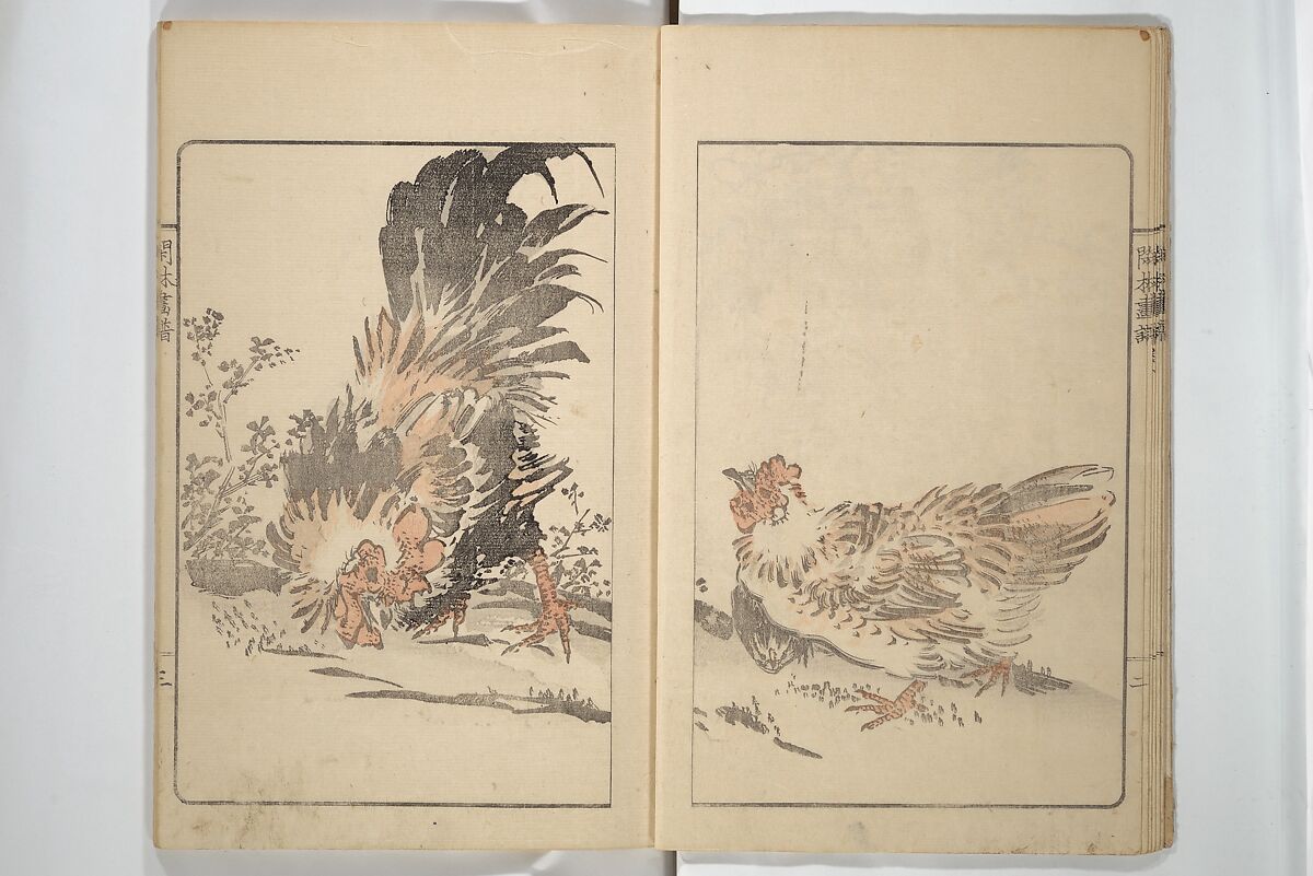 Kanrin Picture Album (Kanrin gafu) 閑林画譜, Okada Kanrin 岡田閑林 (Japanese, 1775–1849), Set of two woodblock printed books; ink and color on paper, Japan