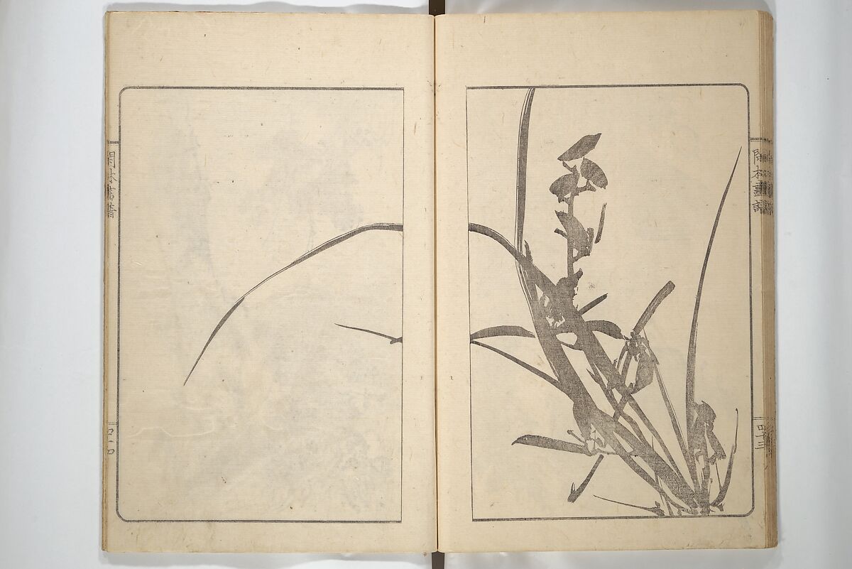 Kanrin Picture Album (Kanrin gafu) 閑林画譜, Okada Kanrin 岡田閑林 (Japanese, 1775–1849), Set of two woodblock printed books; ink and color on paper, Japan
