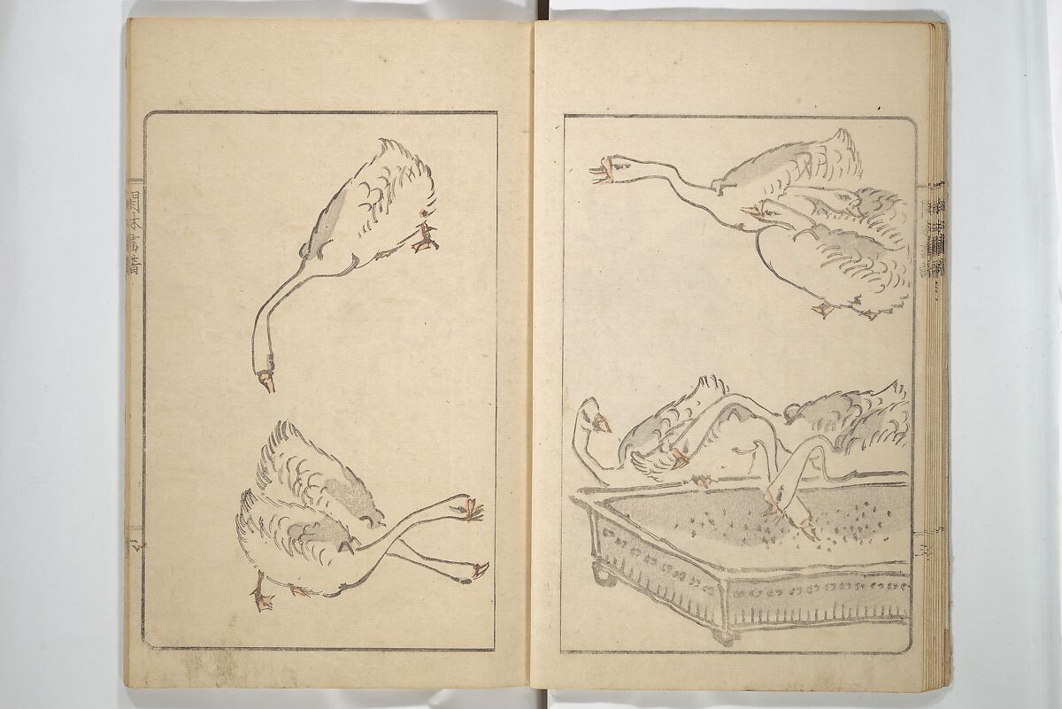 Kanrin Picture Album (Kanrin gafu) 閑林画譜, Okada Kanrin 岡田閑林 (Japanese, 1775–1849), Set of two woodblock printed books; ink and color on paper, Japan