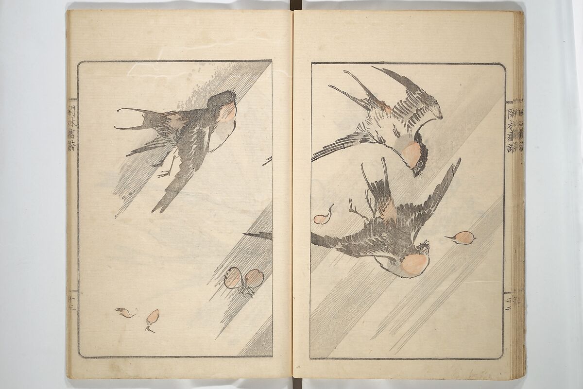 Kanrin Picture Album (Kanrin gafu) 閑林画譜, Okada Kanrin 岡田閑林 (Japanese, 1775–1849), Set of two woodblock printed books; ink and color on paper, Japan