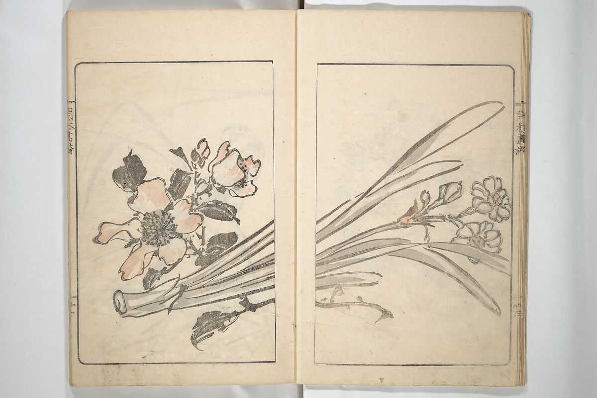 Kanrin Picture Album (Kanrin gafu) 閑林画譜, Okada Kanrin 岡田閑林 (Japanese, 1775–1849), Set of two woodblock printed books; ink and color on paper, Japan