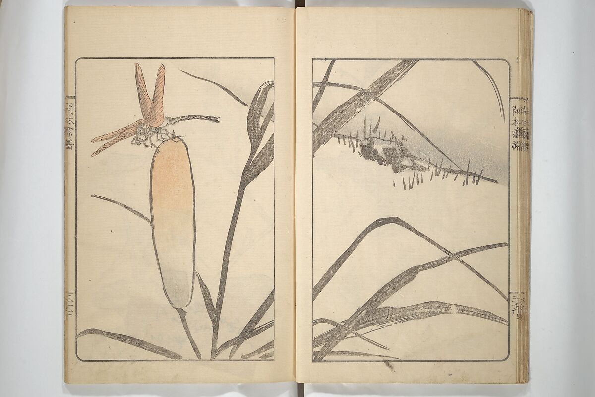 Kanrin Picture Album (Kanrin gafu) 閑林画譜, Okada Kanrin 岡田閑林 (Japanese, 1775–1849), Set of two woodblock printed books; ink and color on paper, Japan