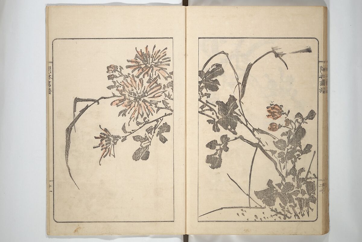 Kanrin Picture Album (Kanrin gafu) 閑林画譜, Okada Kanrin 岡田閑林 (Japanese, 1775–1849), Set of two woodblock printed books; ink and color on paper, Japan